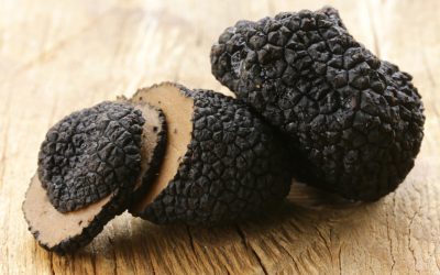 La fête de la truffe